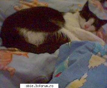 . my kitty!
